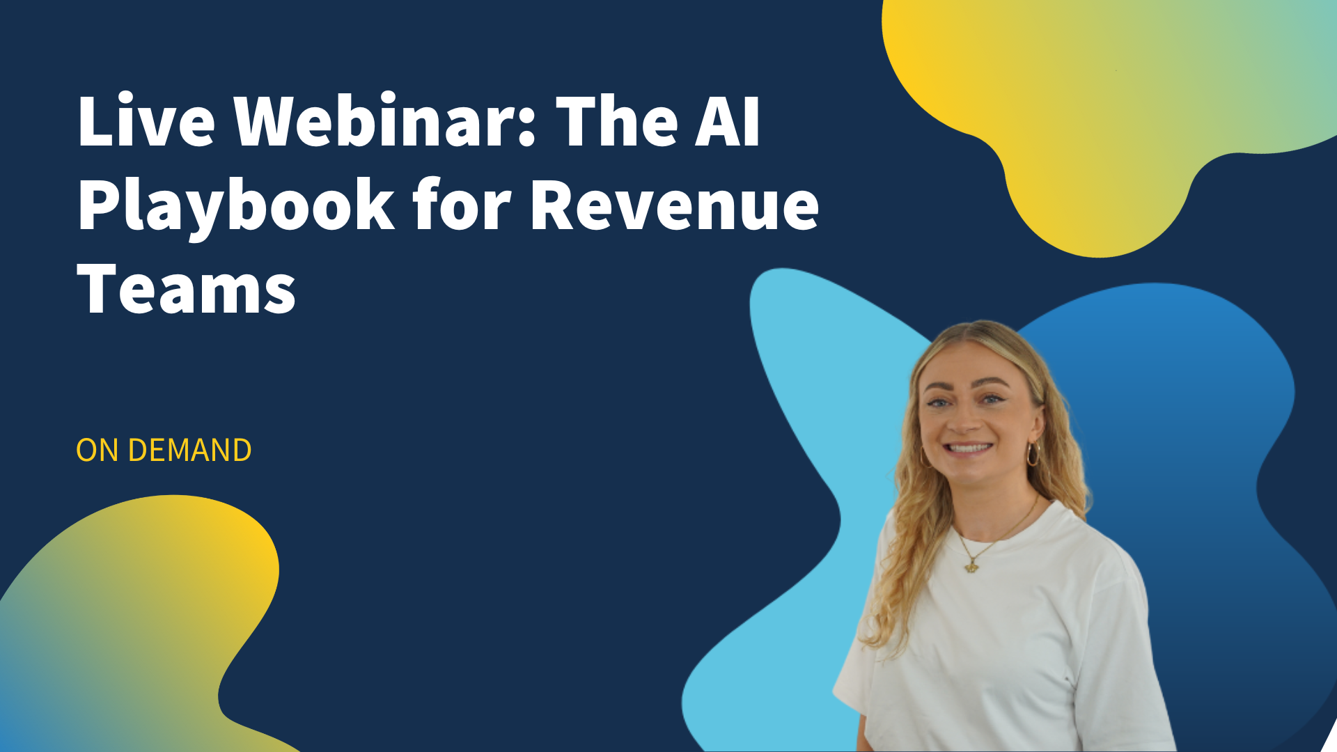 AI Playbook Webinar-1
