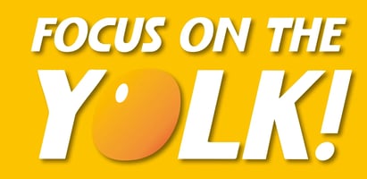 focus-on-the-yolk