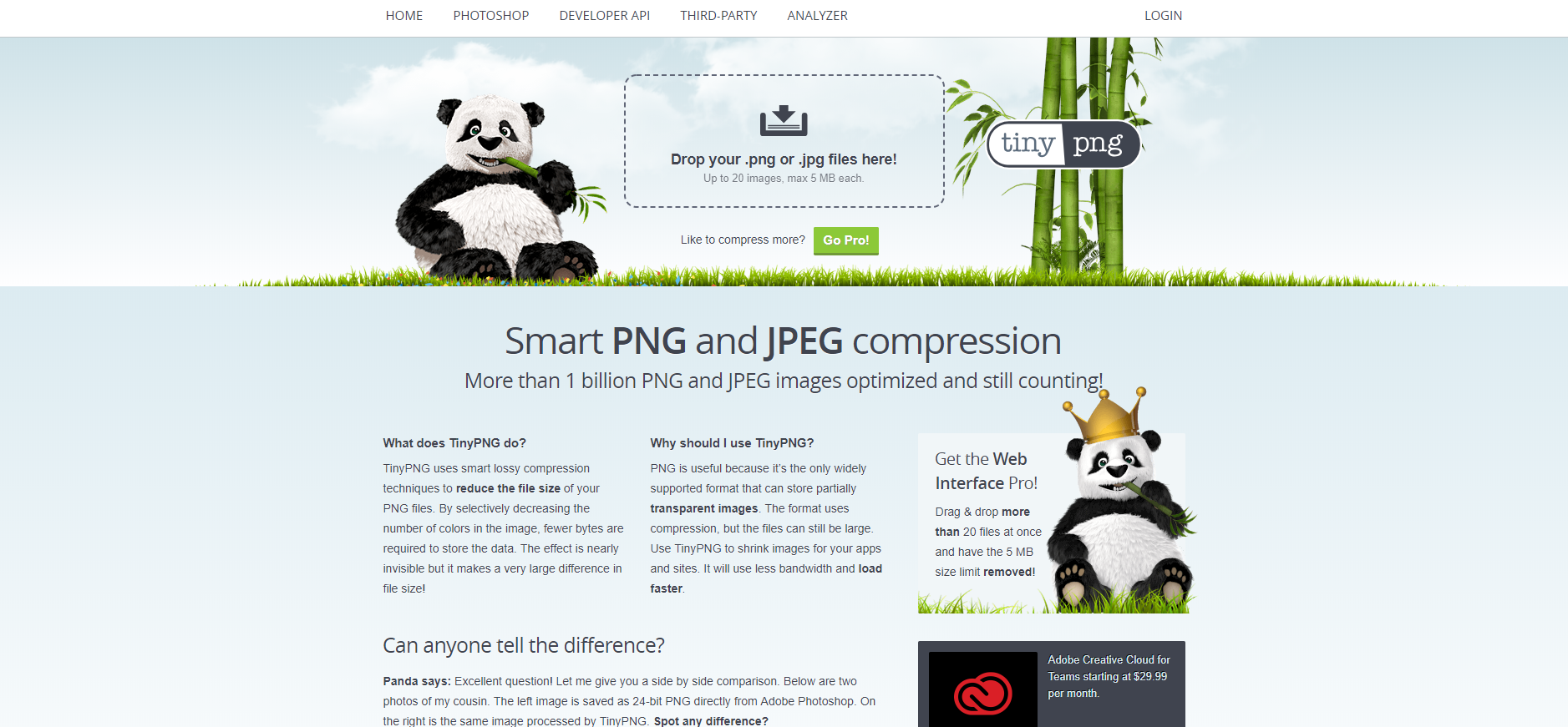 A screenshot of the homepage of Tiny PNG.